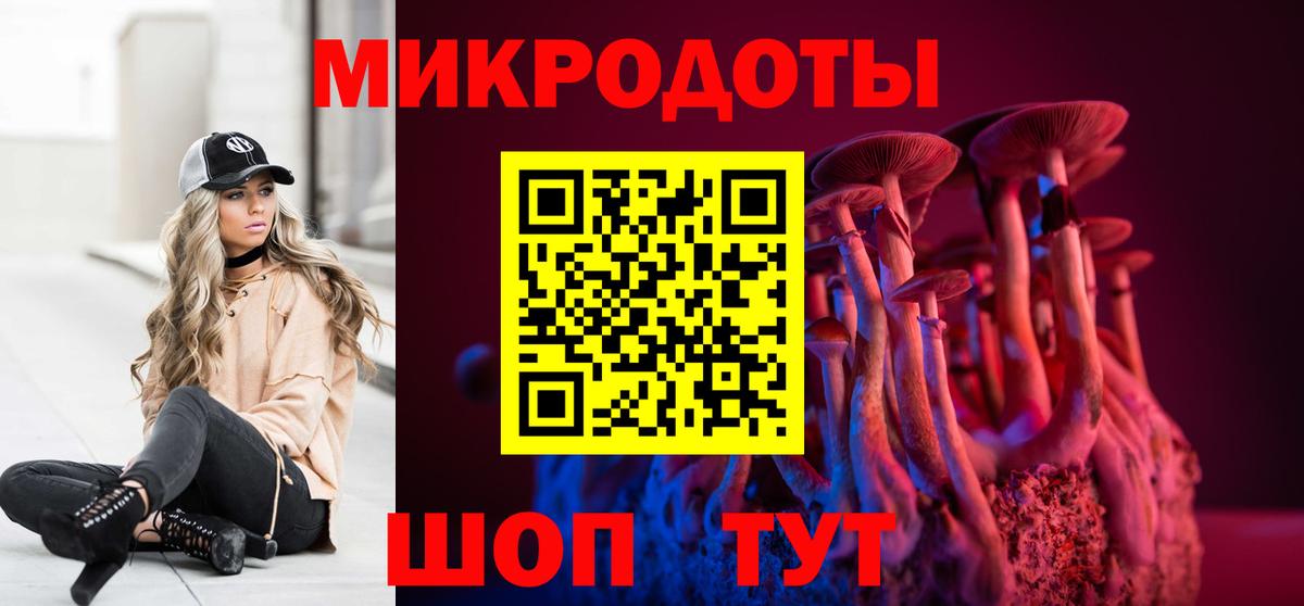 Чебоксары  Галлюциногенные грибы прущие грибы  Галлюциногенные грибы Cubensis  Вход с VPN 